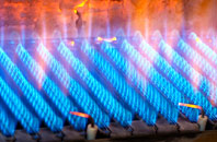 Edge Fold gas fired boilers